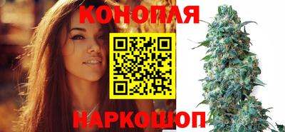 крисы Комсомольск-на-Амуре